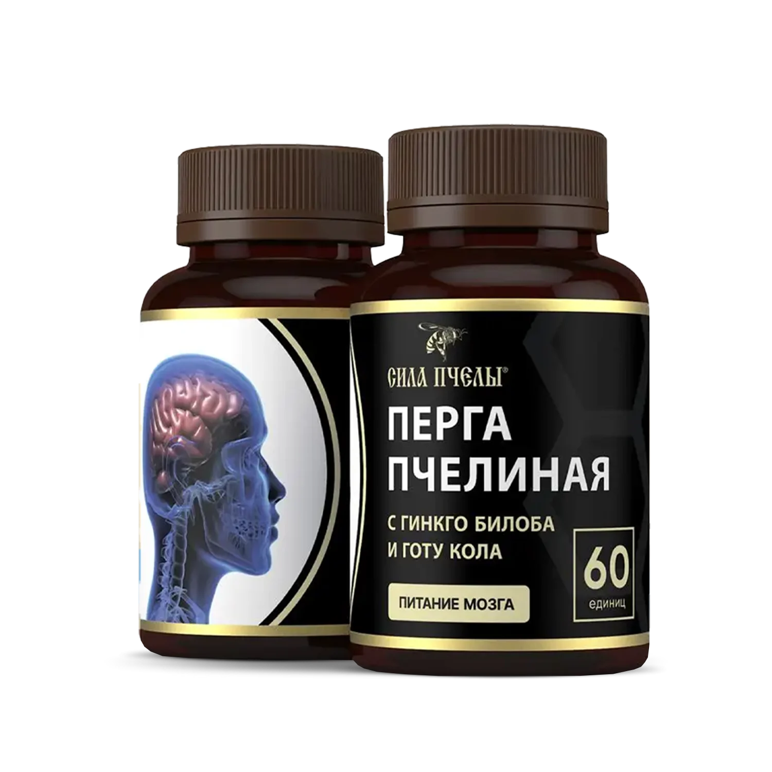 ტვინის კვება