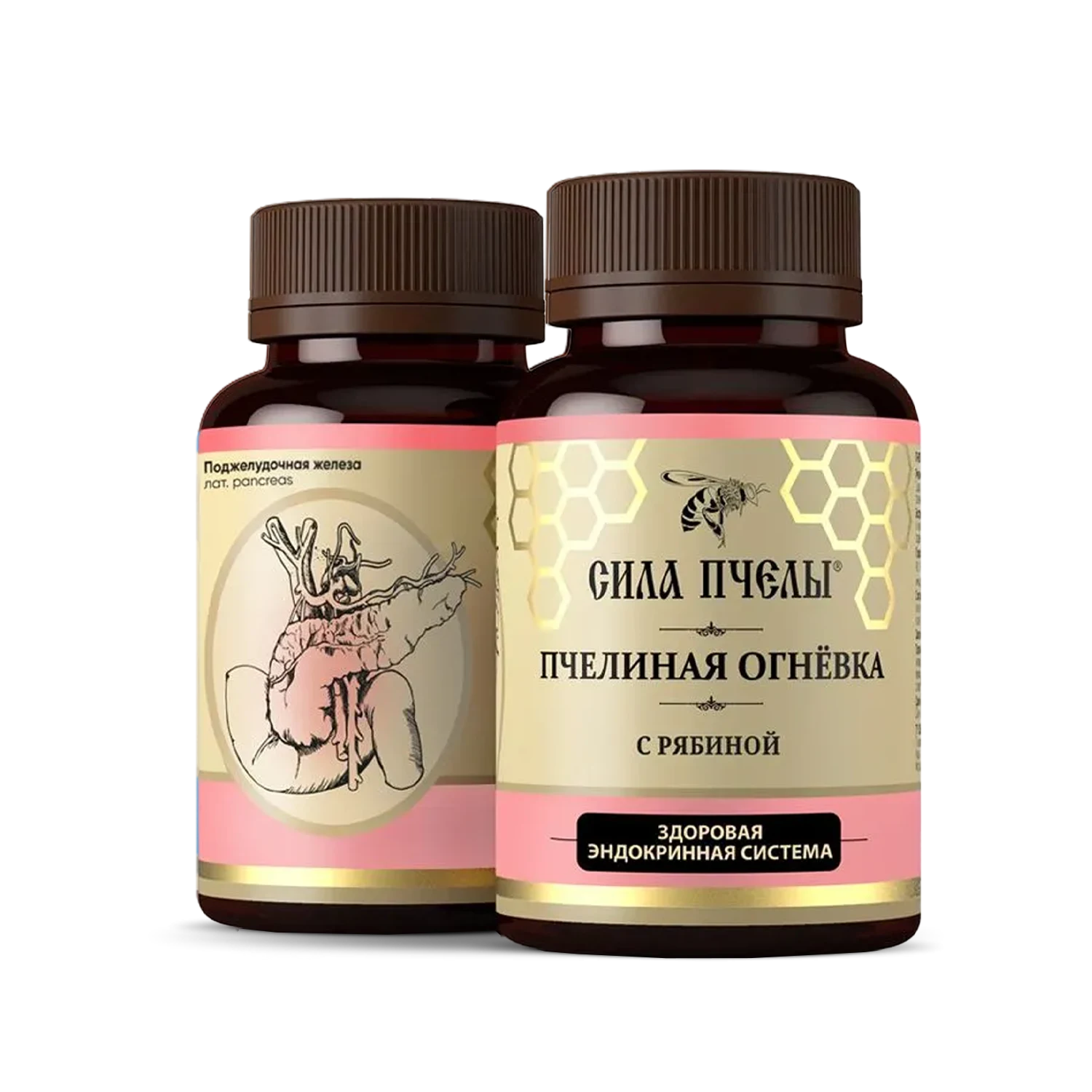 ჯანმრთელი ენდოკრინული სისტემა