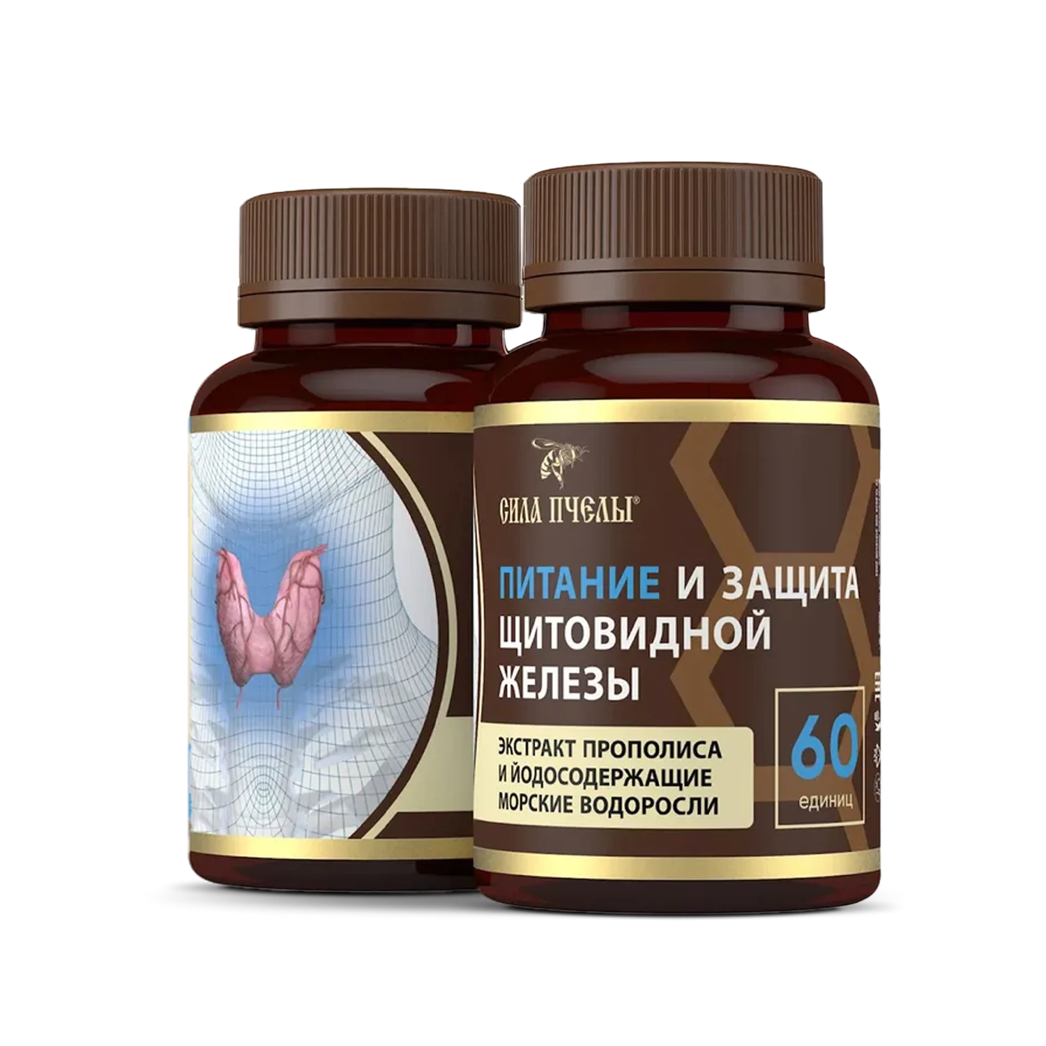 ფარისებრი ჯირკვალი - კვება