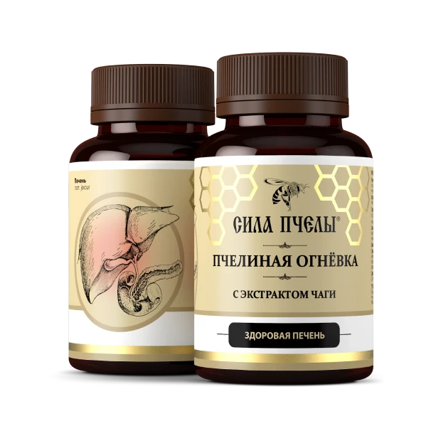 ჯანმრთელი ღვიძლი