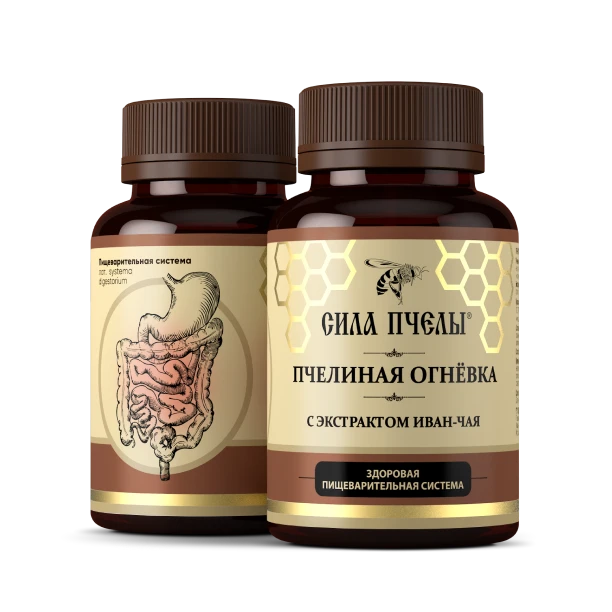 ჯანმრთელი მომნელებელი სისტემა